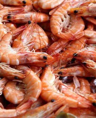 janelstores.com-shrimps