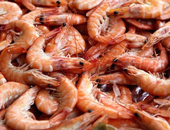 Shrimps