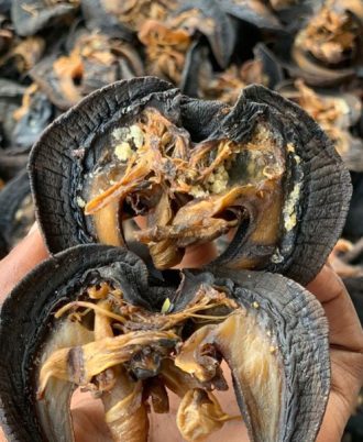 janelstores.com-oven_dried_snails