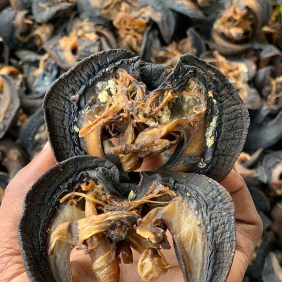 janelstores.com-oven_dried_snails