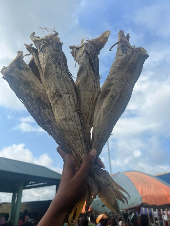 Stockfish